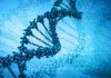 Έλεγχοι DNA μέσω…Iphone Έλεγχοι DNA μέσω...Iphone