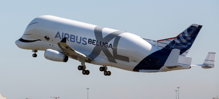 belugaxl-708.jpg