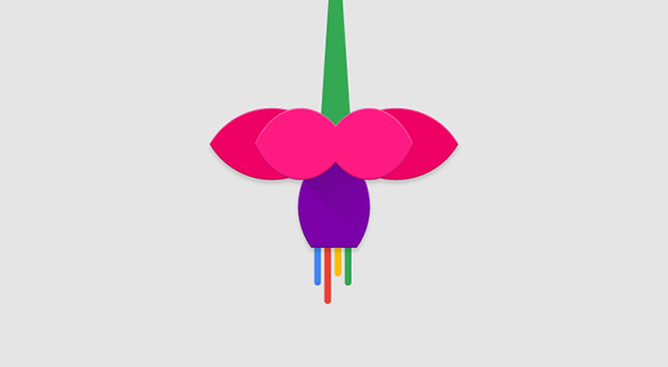 fuchsia.jpg