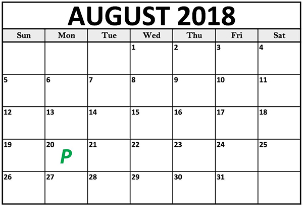 android_p_august-20.jpg