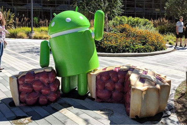 android_pie_samsung.jpg