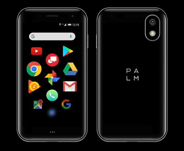 palm_companion_5.jpg