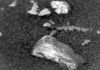 Τι είναι αυτή η πέτρα που βρήκε το Curiosity στον Άρη και λάμπει σαν χρυσός – Newsbeast