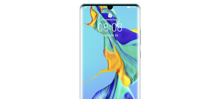 p30procosmote.jpg
