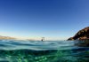 Η Garmin Greece και το Swim2 στον 16ο Διάπλου Βουλιαγμένης | ΤΕΧΝΟΛΟΓΙΑ