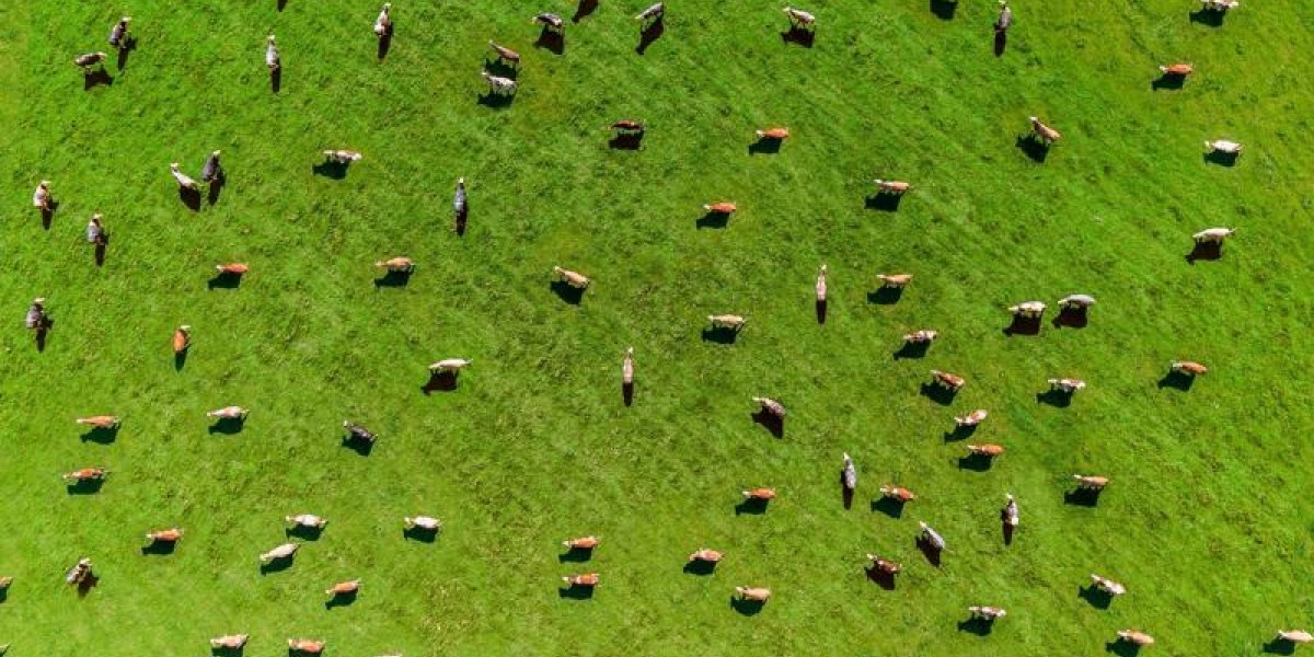 vodafone-green-field.jpg