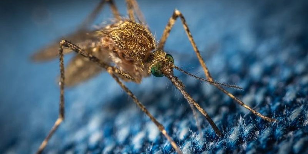 mosquito.jpg
