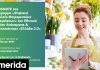 Η COSMOTE συμμετέχει στο πρόγραμμα «Ψηφιακά Εργαλεία Μικρομεσαίων Επιχειρήσεων» στο πλαίσιο του «Ελλάδα 2.0»