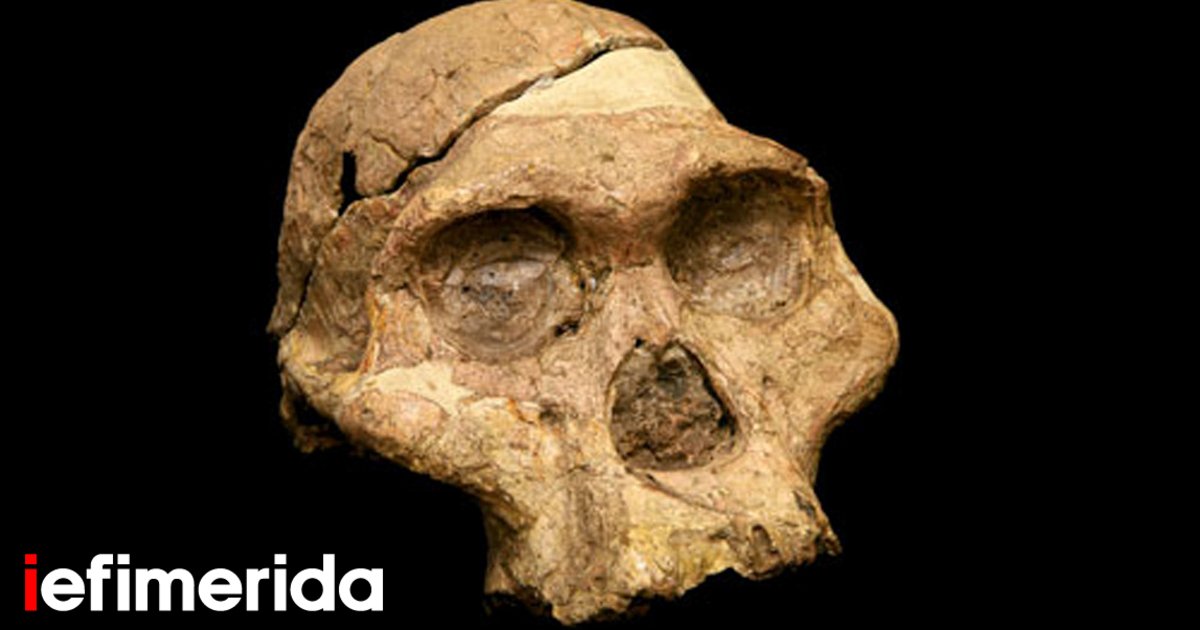 fossil.jpg