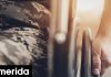 Σημαντική ανακάλυψη στην Ελβετία, βοήθησαν 9 άτομα με παράλυση να περπατήσουν ξανά