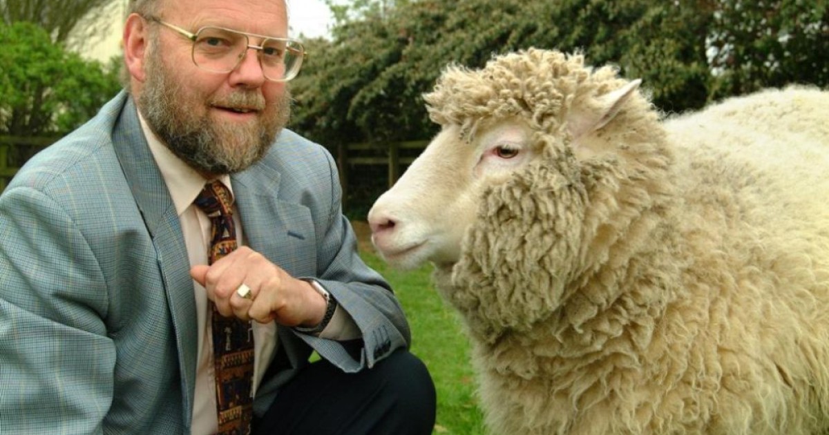 sir-ian-wilmut-dolly.jpg