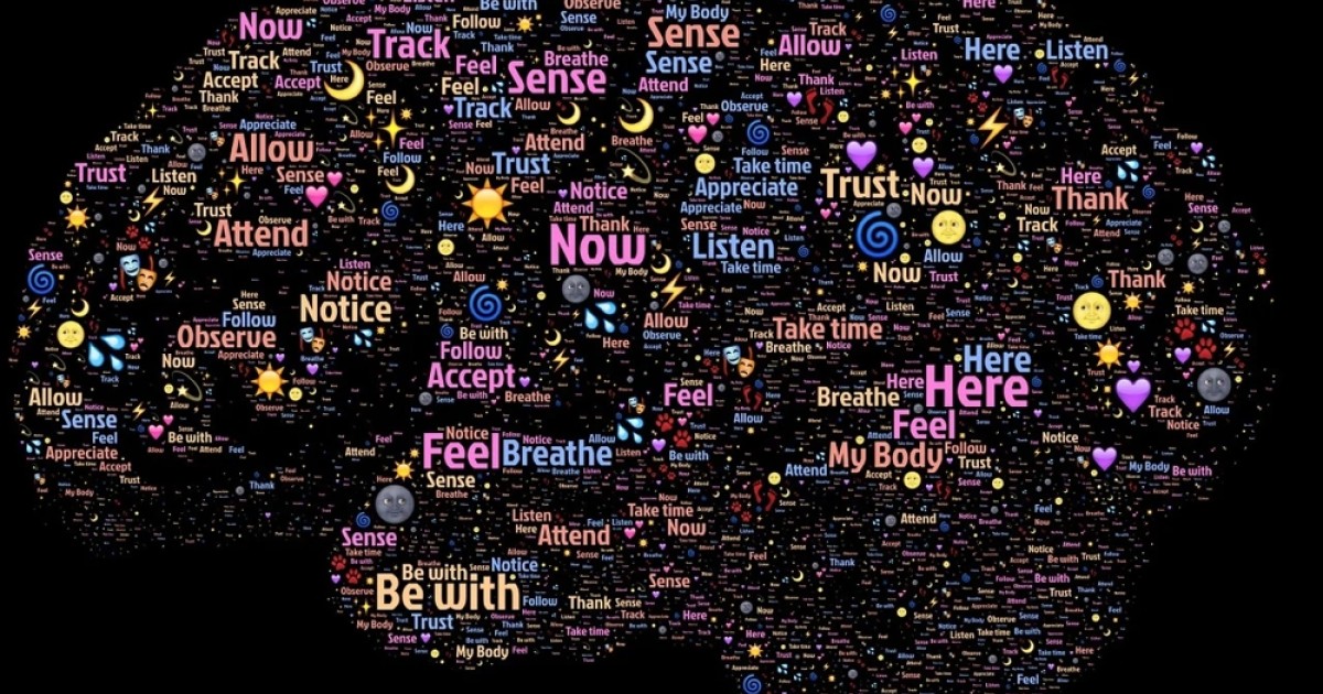 human-brain.jpg