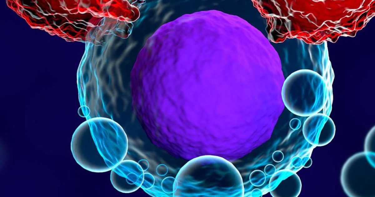 immunotherapy-cancer.jpg