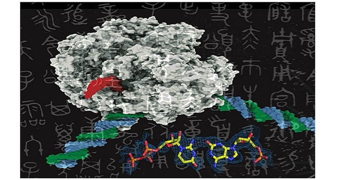 synthetic-dna.jpg