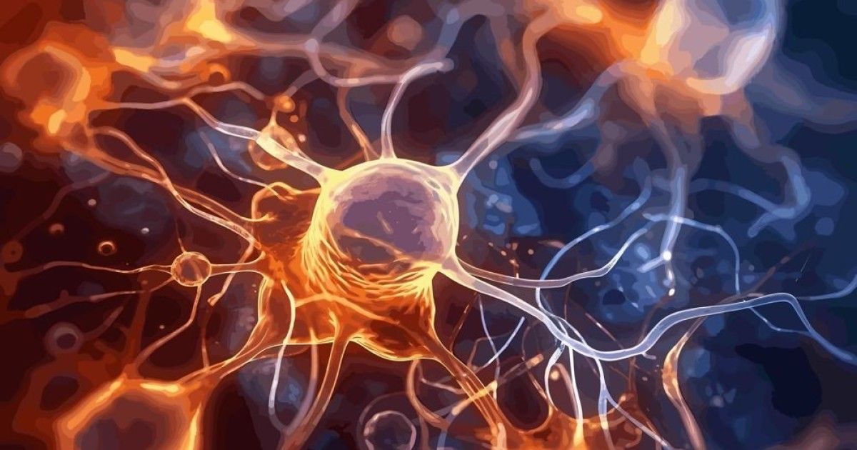 synapse.jpg