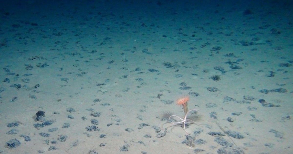 rock-battery-ocean.jpg