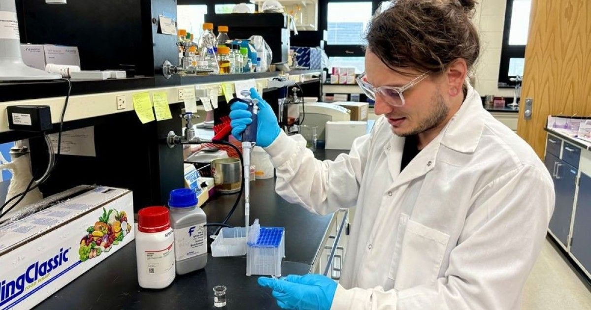 memory-enzyme.jpg