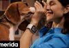 Τεχνολογία υγείας και περιπέτειας: Τα νέα Smartwatches της Huawei στην Ελλάδα