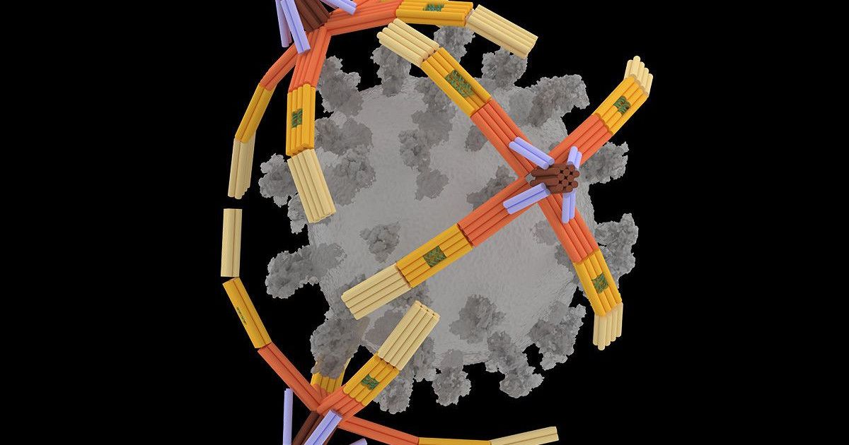 nanogripper-2.jpg