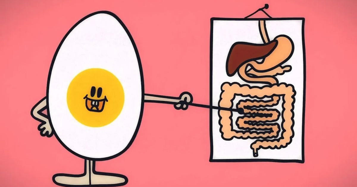 cholesterol-ldl-hdl.jpg