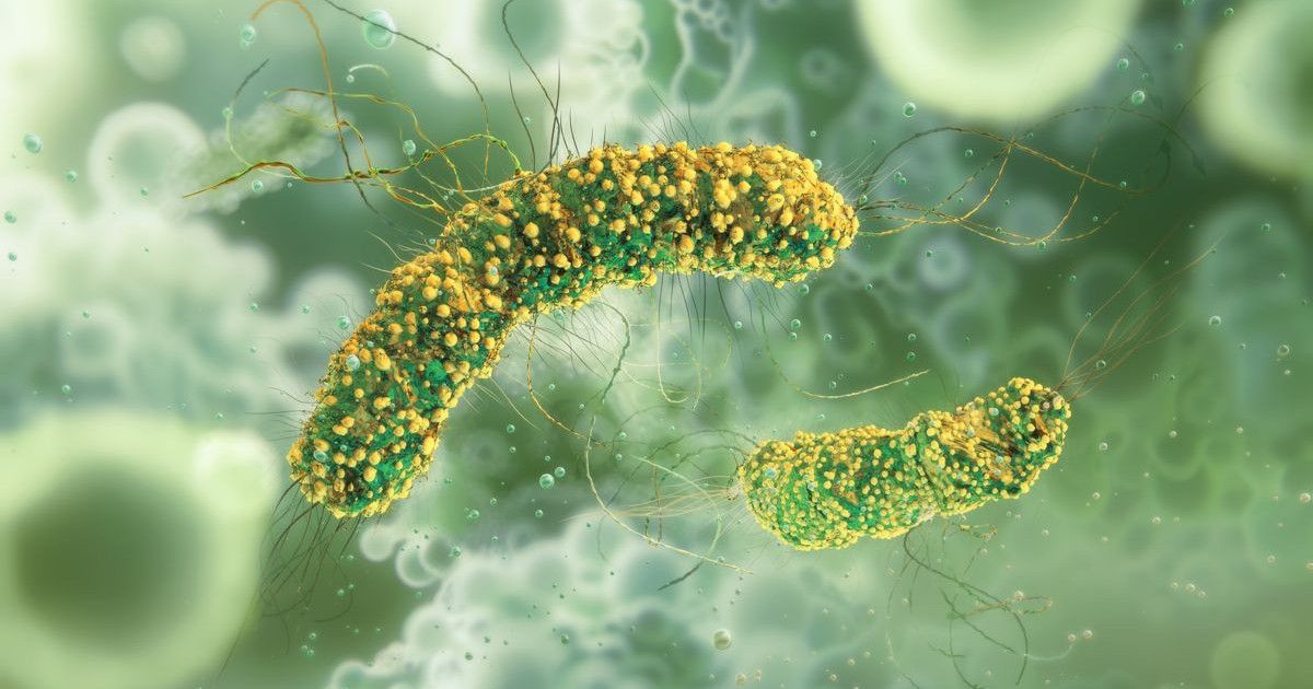 drug-resistant-bacteria.jpg