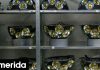 Ο «Δημόκριτος» ανακοίνωσε την ανίχνευση κοσμικού νετρίνο με τη μεγαλύτερη ενέργεια που έχει καταγραφεί ποτέ!