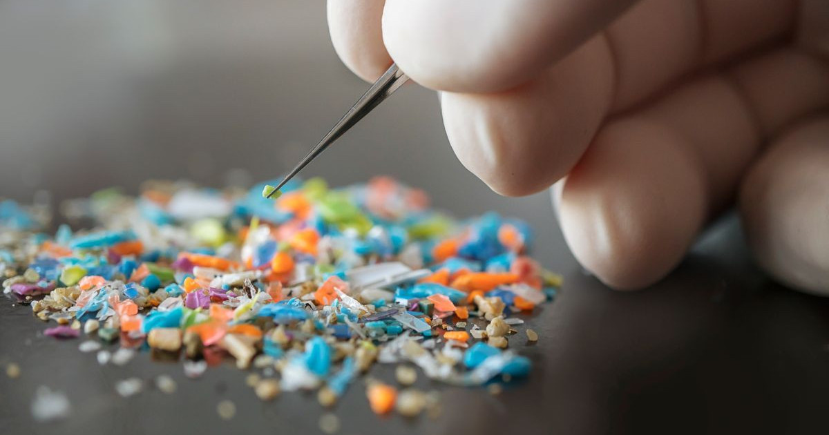 microplastics-brain-mice.jpg