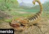 Βρέθηκε απολίθωμα 125 εκατομμυρίων ετών, που πιστεύεται ότι είναι της ίδιας ηλικίας με τους δεινόσαυρους