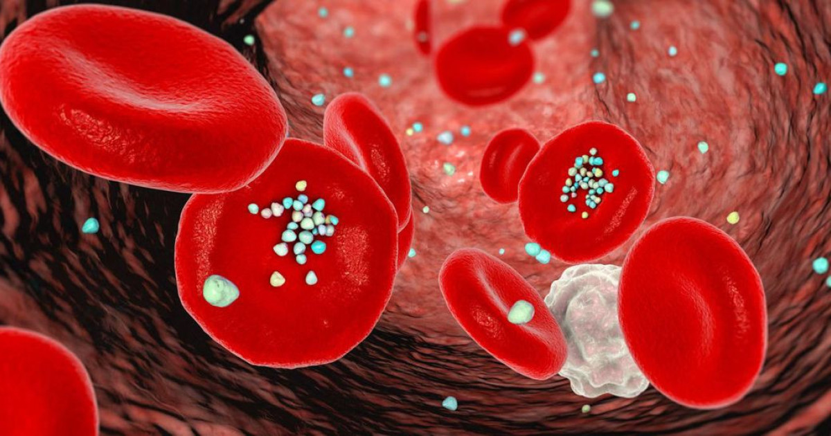 dehp-heart-disease.jpg