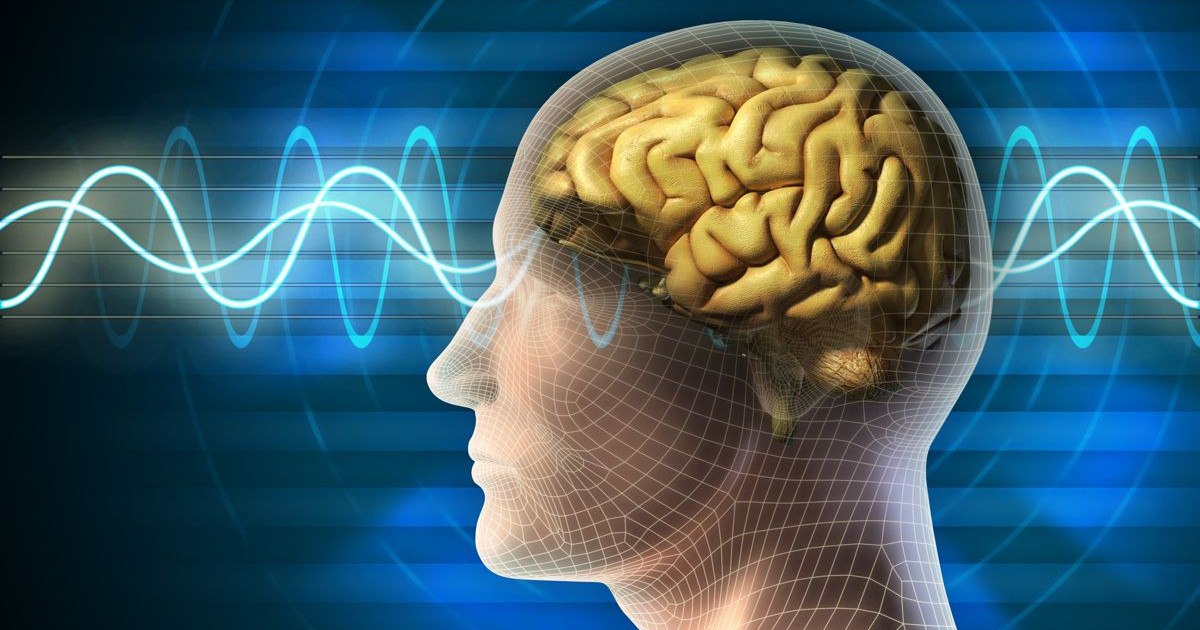 theta-waves-brain.jpg