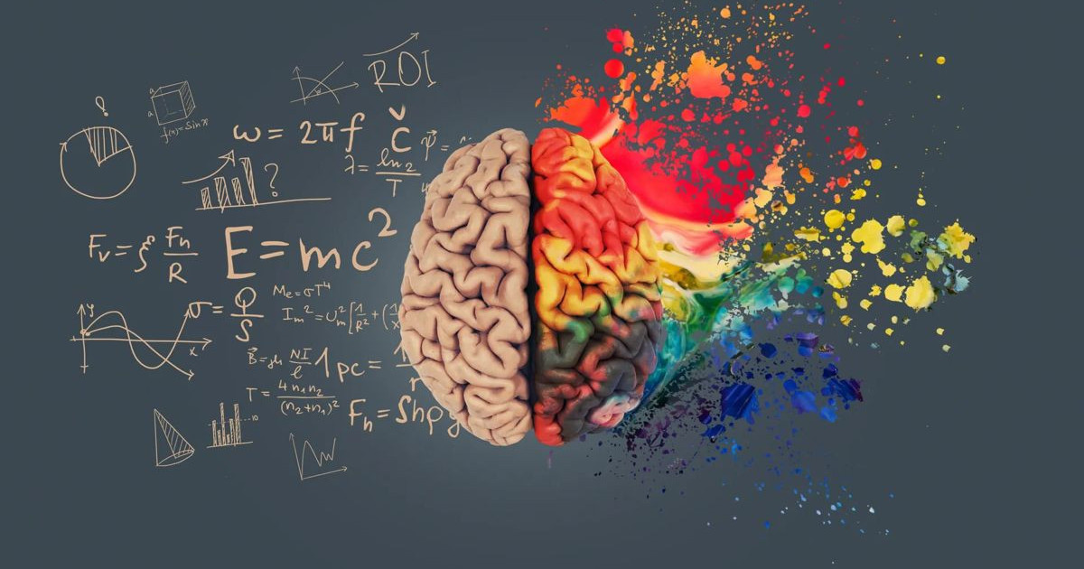 left-handed-brain.jpg