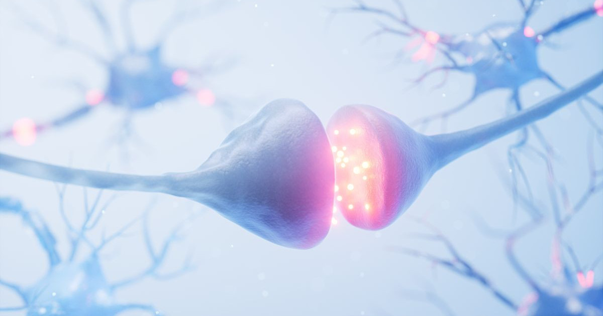 neuron-synapse.jpg