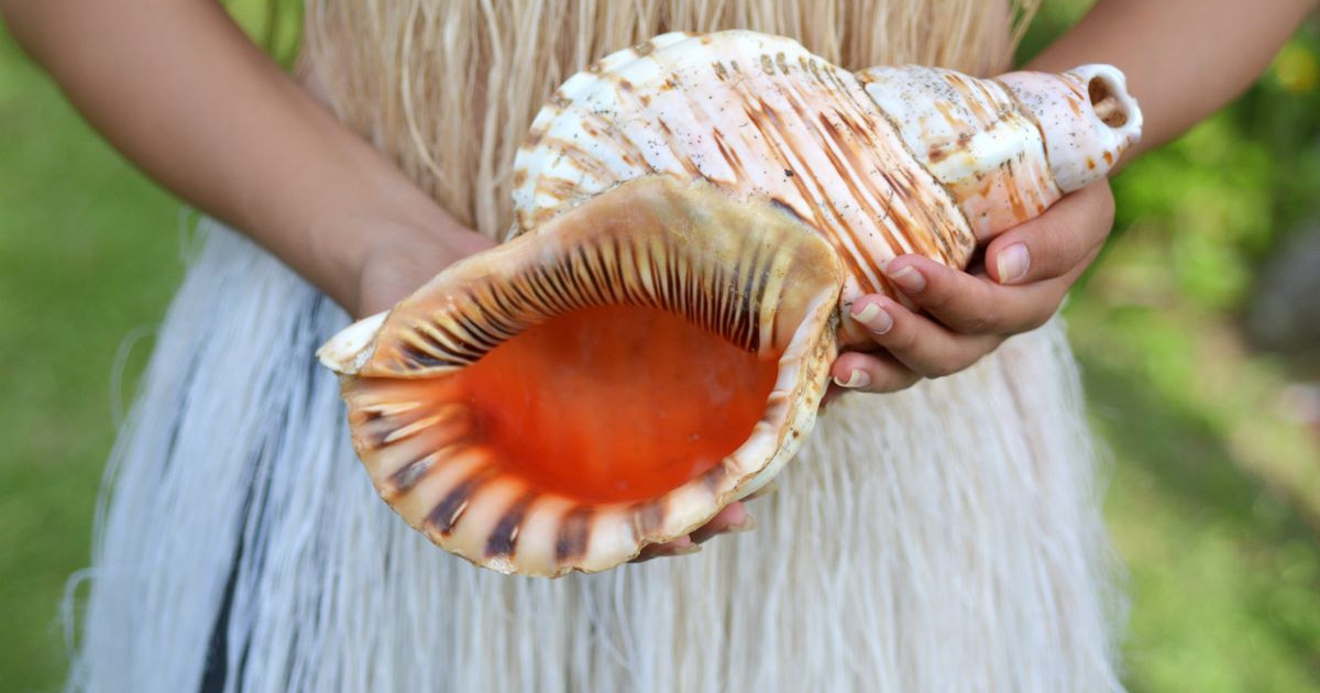 sleep-apnea-shell.jpg