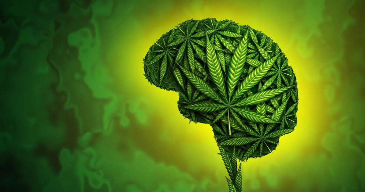 cannabis-brain.jpg