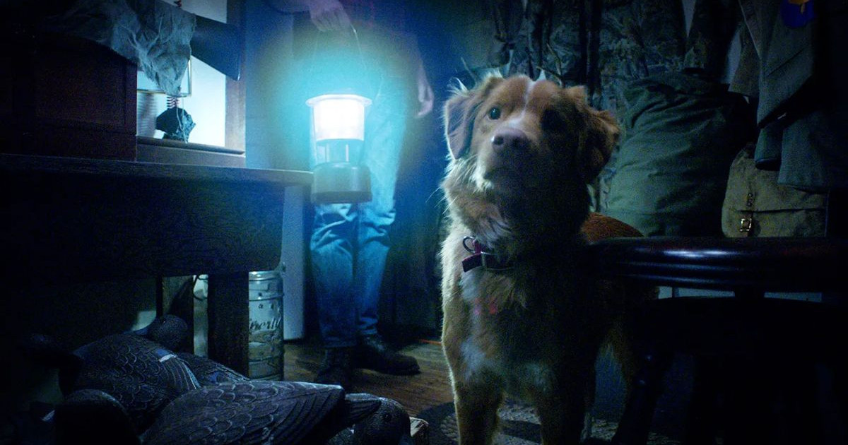 good-boy-trailer.jpg