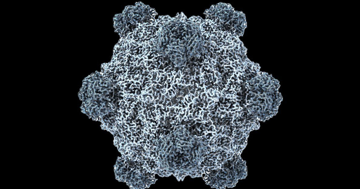 synthetic-ai-virus.jpg