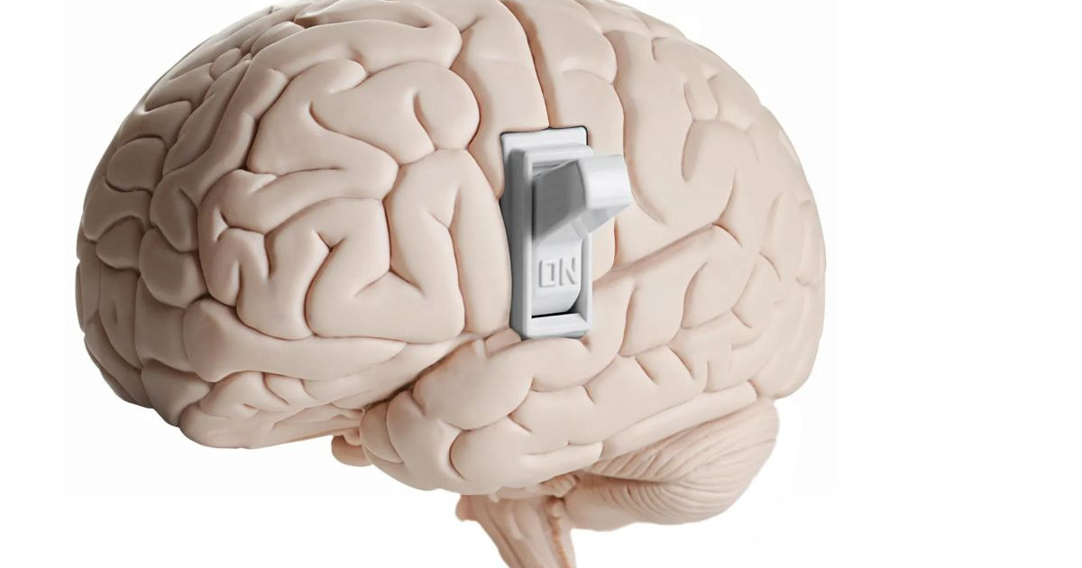 brain-hunger-switch.jpg