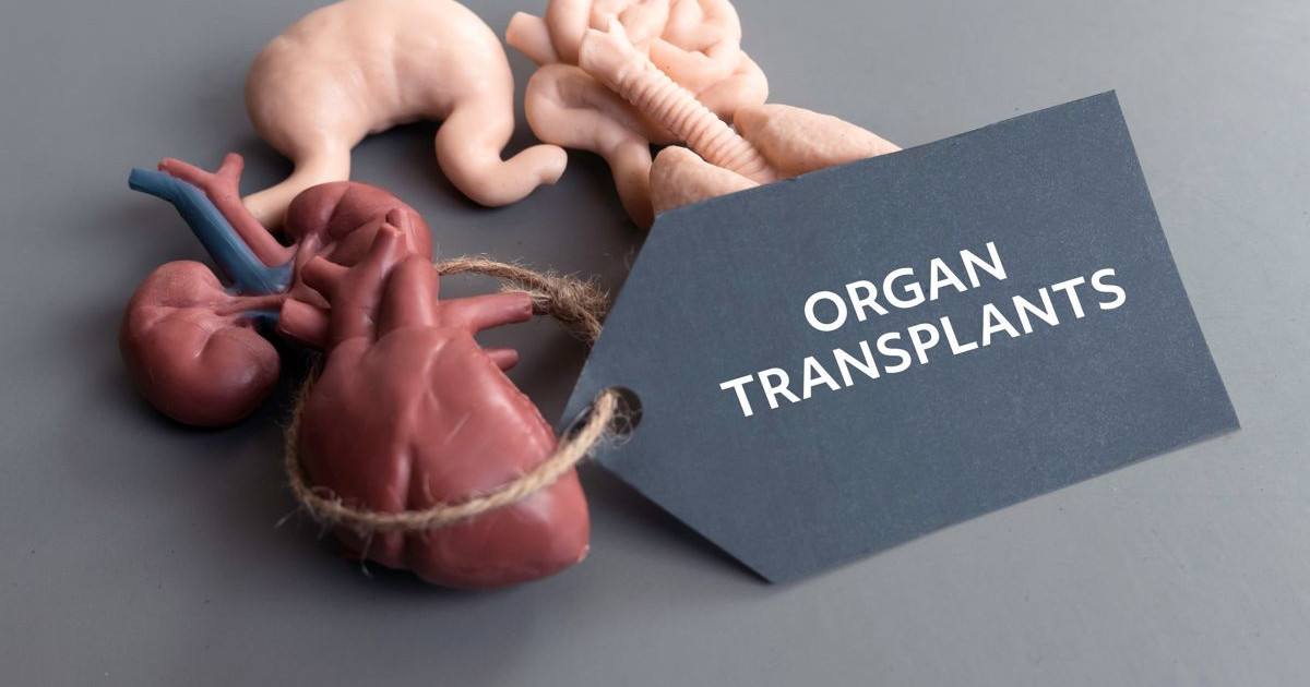 organ-transplants.jpg
