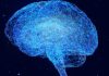Πρωτοποριακός «χάρτης» αποκαλύπτει πώς λειτουργεί ο εγκέφαλος μας