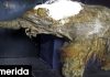 Επιστημονική ανακάλυψη που αλλάζει τα δεδομένα – Πώς το μαμούθ Yuka μας «ξαναμιλά» μετά από 39.000 χρόνια