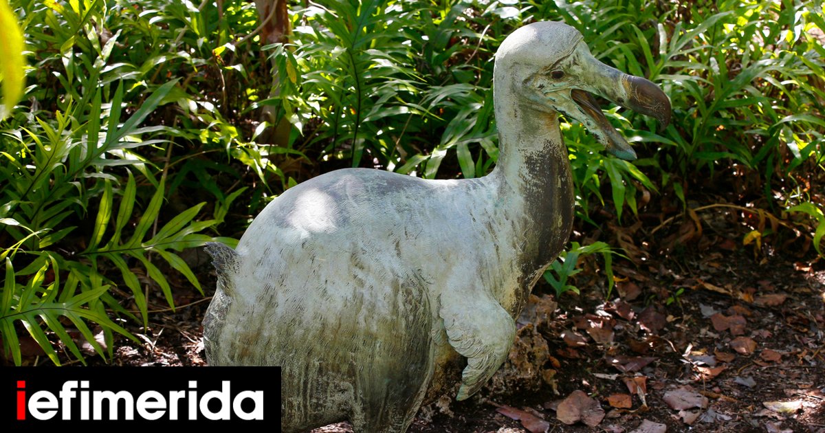 dodo_mavrikios_shutterstock_16.12.25.jpg