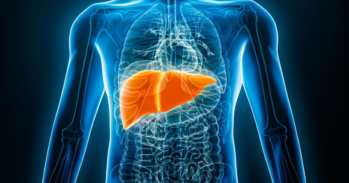 fresh-3d-printed-liver-1.jpg
