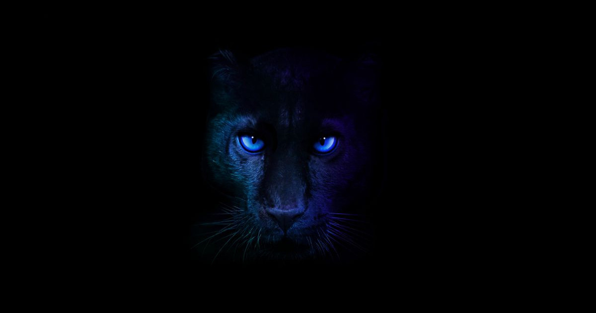 intel-panther-lake-ces-2026-1.jpg