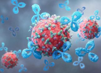 Η νέα υβριδική θεραπεία που διαλύει την «ασπίδα» των όγκων