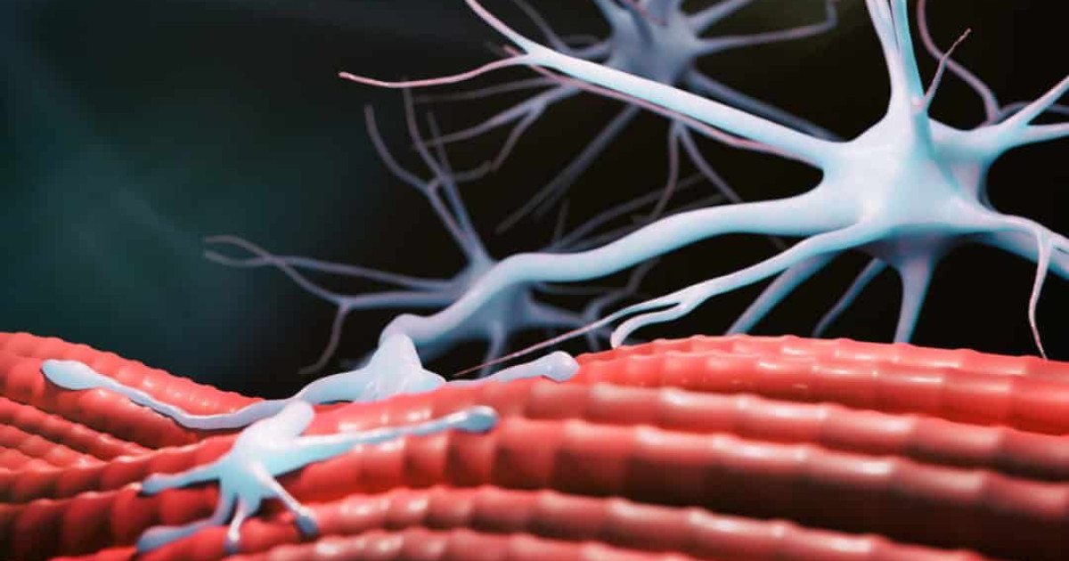 tissue-repair.jpg