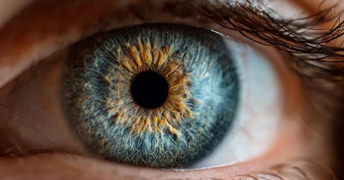 eye-on-demand.jpg