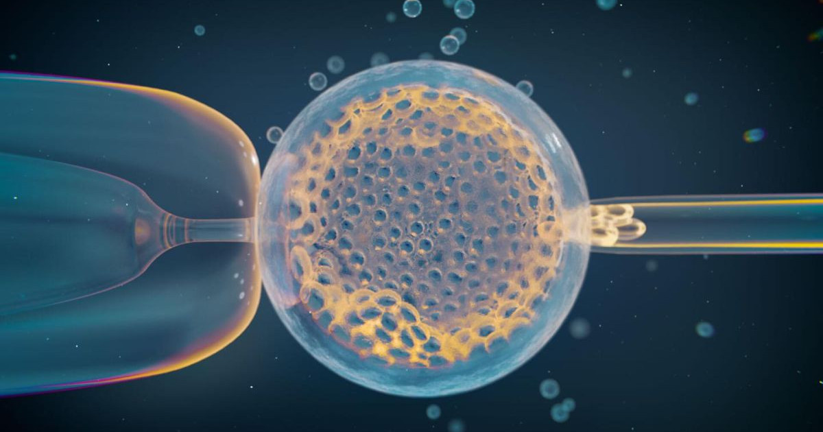 human-ivf.jpg