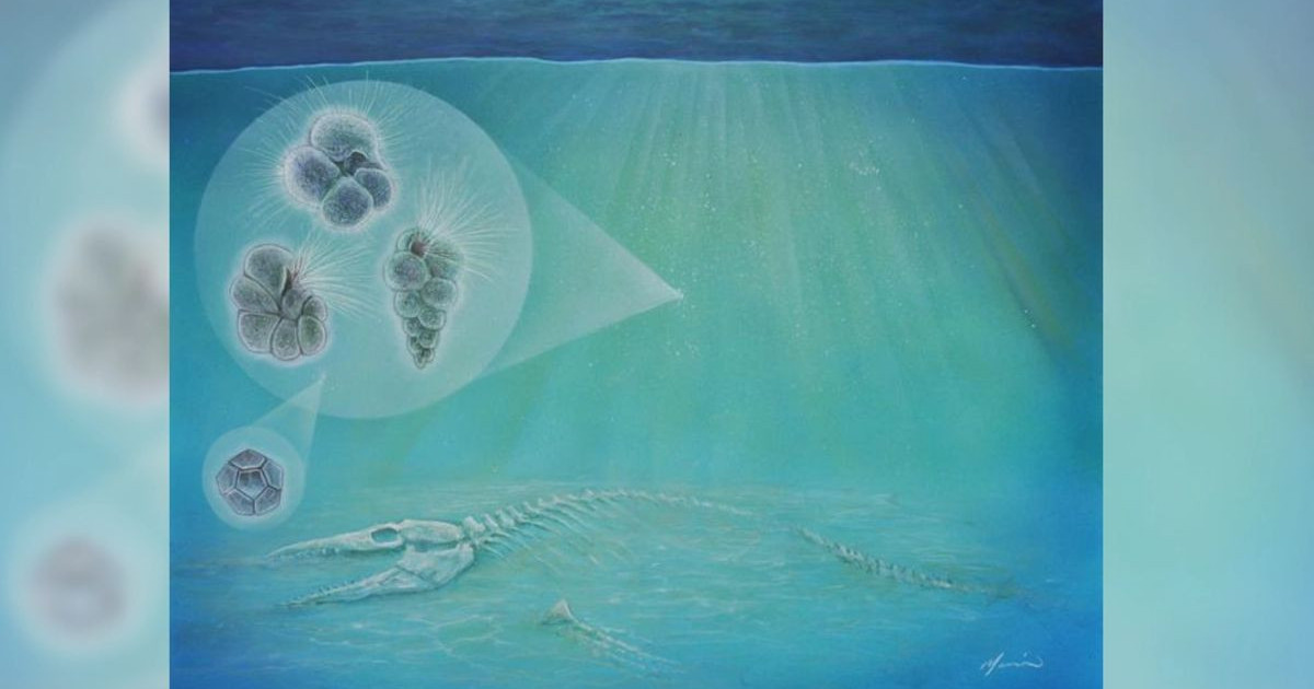 life-after-asteroid.jpg