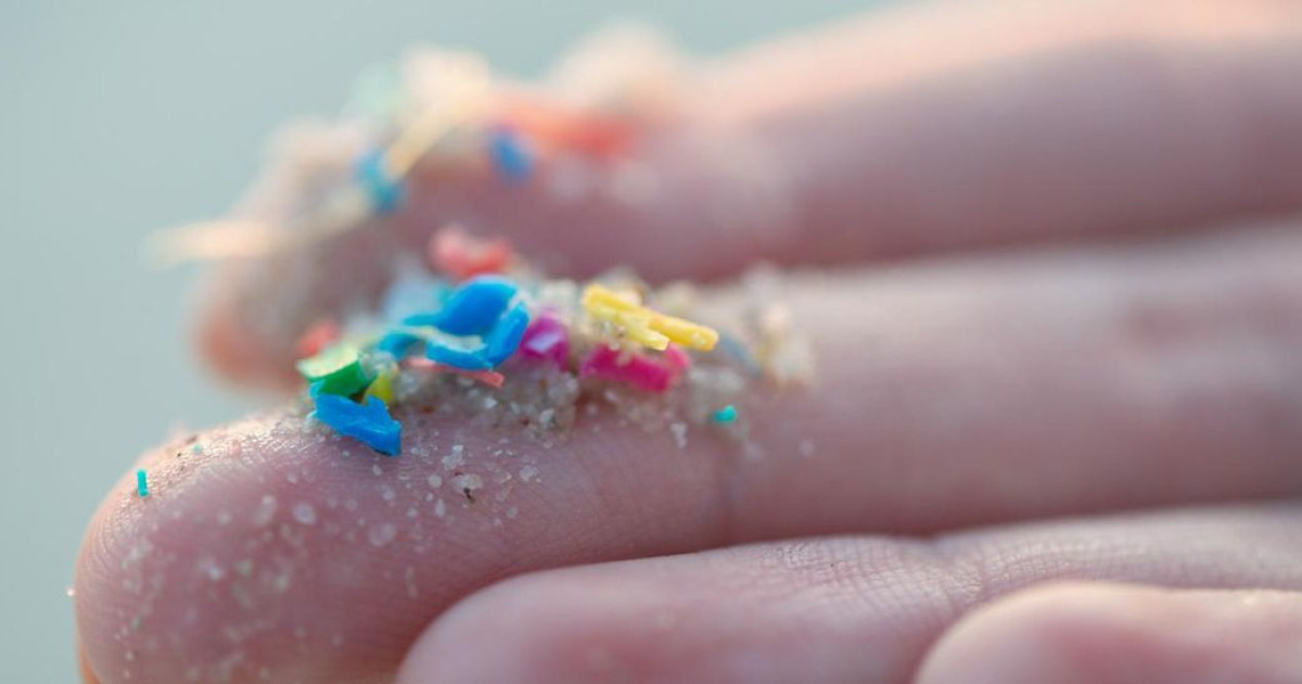 microplastics-nyu.jpg