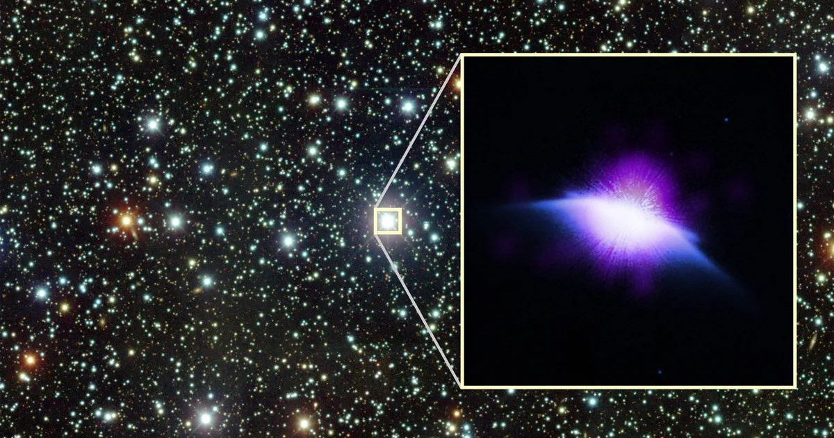 chandra-the-moth.jpg